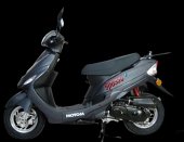 2009 Motom Spasso 50 photo